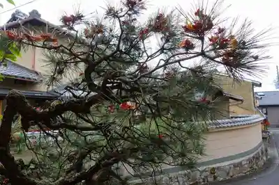 金福寺のその他建物