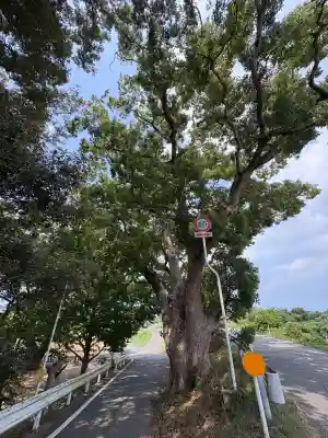 加茂神社(徳島県)
