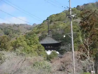 根来寺(和歌山県)
