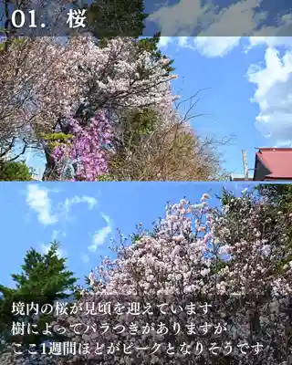 宝光寺(北海道)