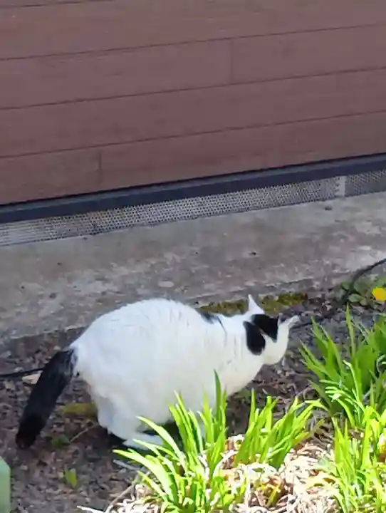 山津見神社(福島県)