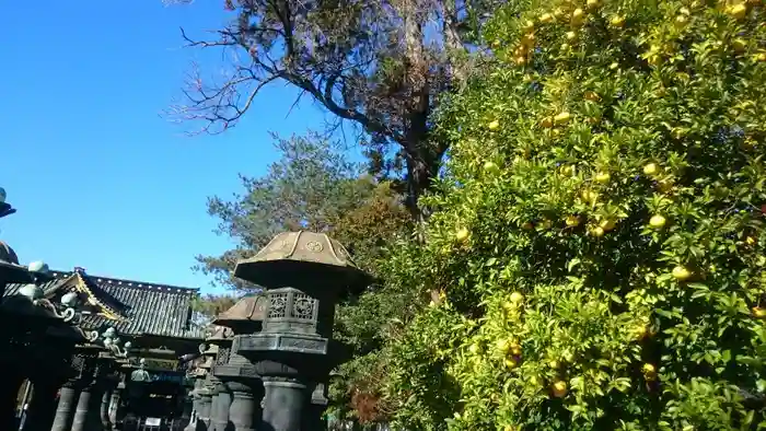 上野東照宮の建物その他