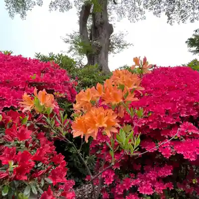 根津神社(東京都)