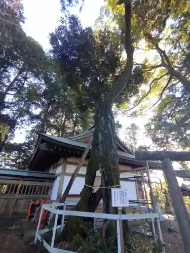八坂神社(静岡県)