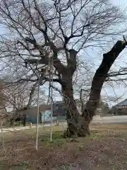 歓喜寺(茨城県)