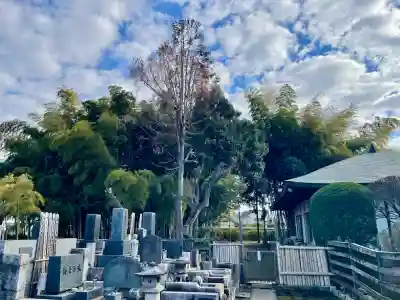 大義寺(東京都)