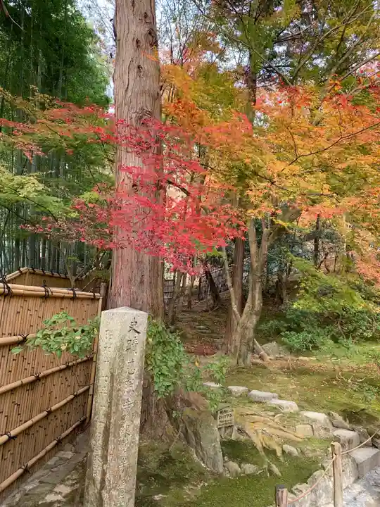 慈照寺(慈照禅寺・銀閣寺)の自然