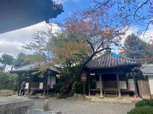 法観寺(京都府)