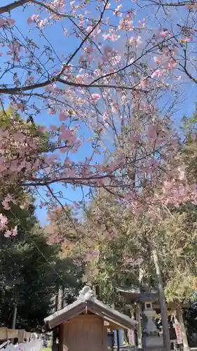 中山神社の自然