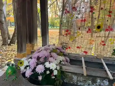 彌彦神社　(伊夜日子神社)の手水舎