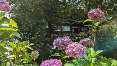  智積院(京都府)