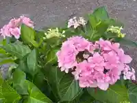 美奈宜神社(福岡県)