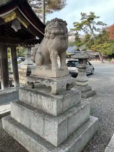 長浜八幡宮(滋賀県)