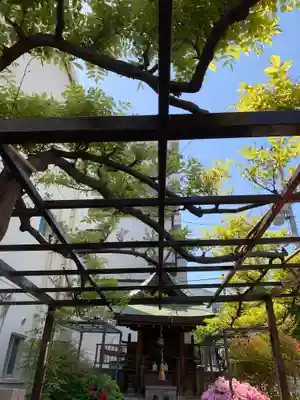 藤之宮 春日神社(野田の藤跡)の自然