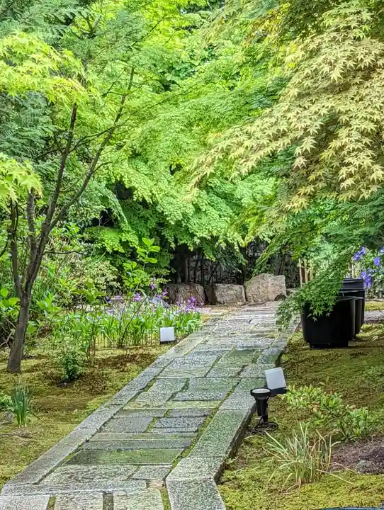 勝林寺(京都府)