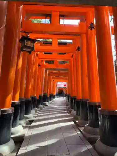 伏見稲荷大社の鳥居