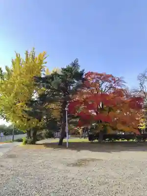 厚別神社(北海道)