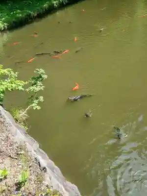 浮嶋稲荷神社(山形県)