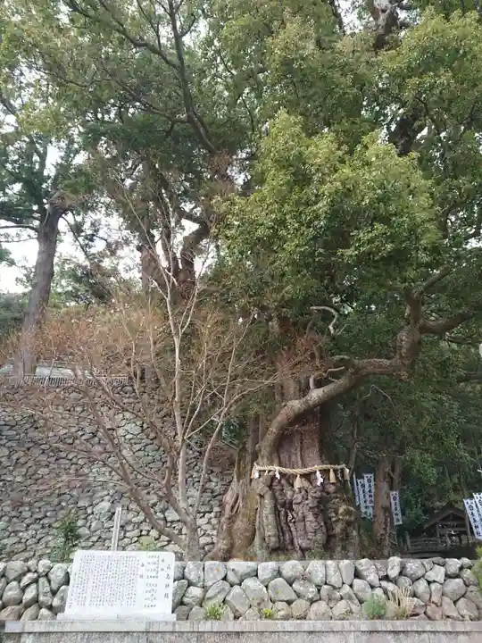 長島神社の自然