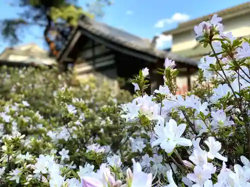 裏木神社の自然
