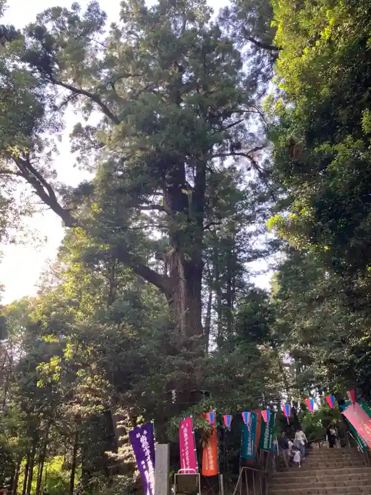 塩船観音寺(東京都)