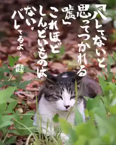 専念寺(大阪府)(2022年06月30日(木) 23時37分55秒投稿)