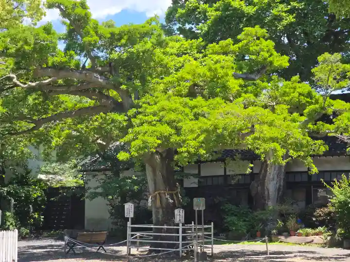 生根神社(大阪府)