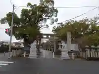 兵主神社(大阪府)