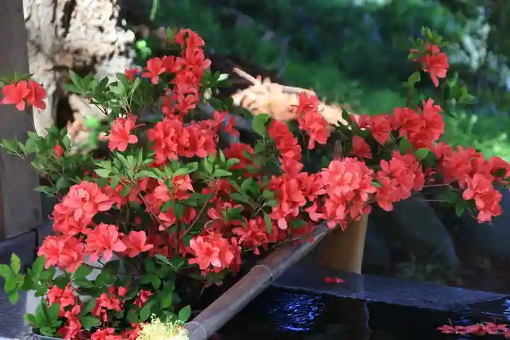 高司神社〜むすびの神の鎮まる社〜の手水舎