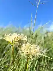 瑠璃寺の自然