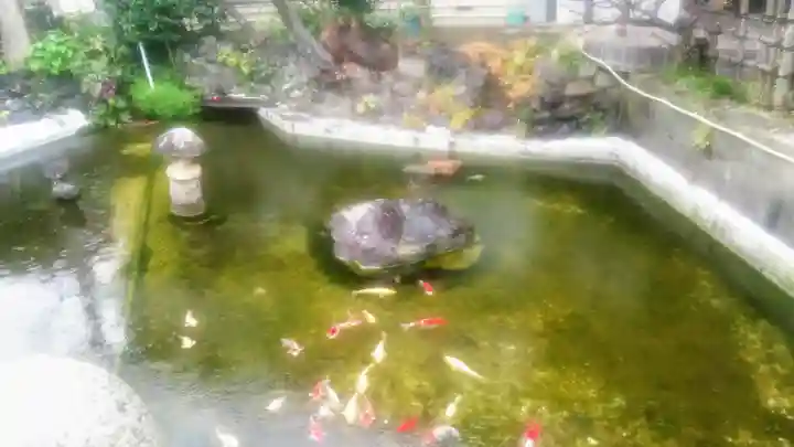 粟島神社の庭園