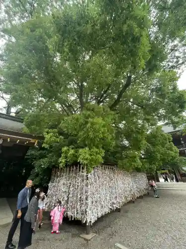 寒川神社(神奈川県)
