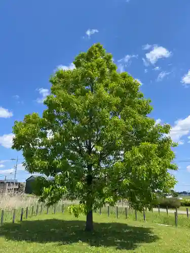 鞆江神社（明地）(愛知県)
