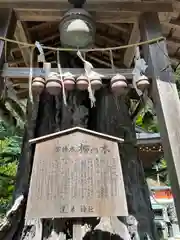 還来神社の自然