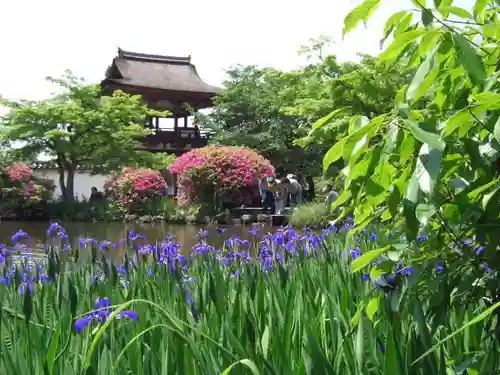 長岳寺の庭園