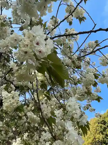 上地八幡宮(愛知県)