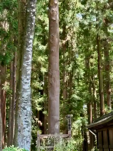 諏訪大社下社秋宮(長野県)