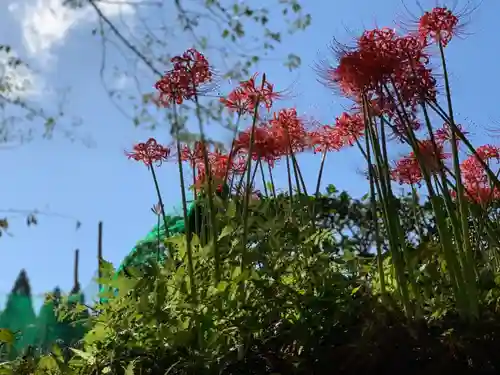 熊野神社の庭園