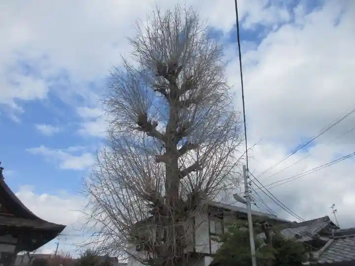 和田神社(滋賀県)