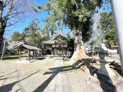 八幡神社(滋賀県)