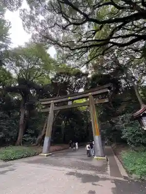 明治神宮(東京都)