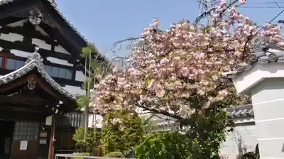 妙蓮寺のその他建物