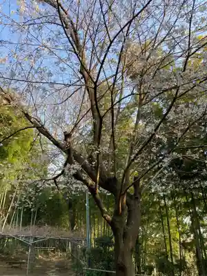 滝前不動尊(千葉県)