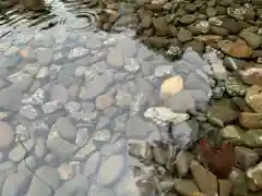 滑川神社 - 仕事と子どもの守り神(福島県)