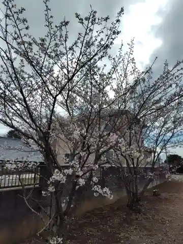 八幡神社(埼玉県)