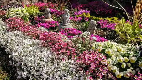 寿量山　速成寺の庭園