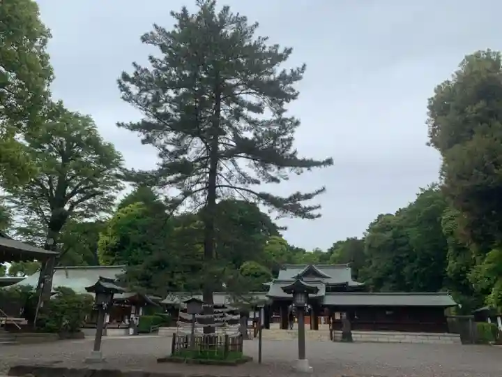 井草八幡宮の自然