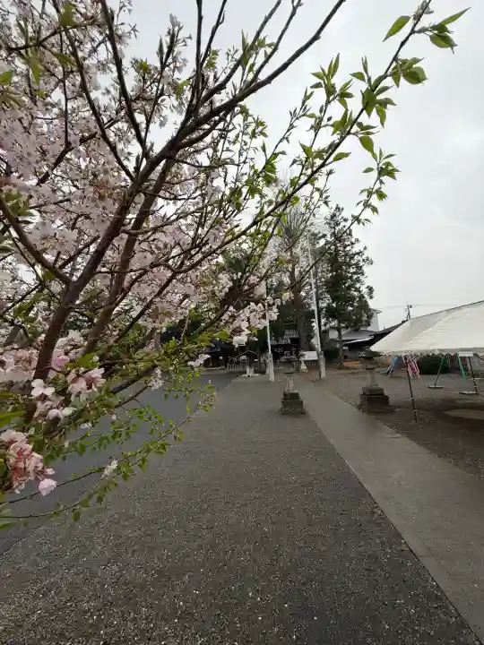 浅沼八幡宮の{uncategorized: "未分類", other: "その他", undefined: "問題あり", building: "その他建物", grave: "お墓", sacred_gate: "鳥居", guardian: "狛犬", statue: "像", buddha: "仏像", history: "歴史", nature: "自然", garden: "庭園", animal: "動物", pagoda: "塔", temizu: "手水舎", mountain_gate: "山門・神門", sanctuary: "本殿・本堂", subordinate: "末社・摂社", art: "芸術", scenery: "景色", jizo: "地蔵", ema: "絵馬", goshuin: "御朱印", omikuji: "おみくじ", items: "授与品その他", amulet: "お守り", goshuincho: "御朱印帳", eats: "食事", festival: "お祭り", votive_dance: "神楽", shichigosan: "七五三参", wedding: "結婚式", experience: "体験その他", initially: "初詣", around: "周辺", anti_infection: "感染症対策"}