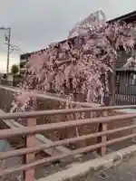 大安寺(宮城県)