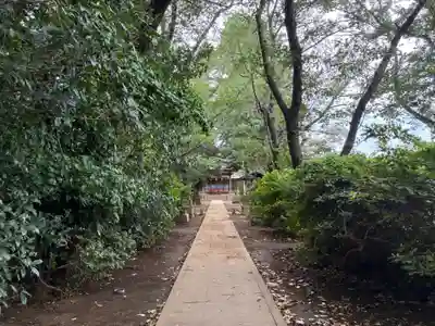 三咲稲荷神社(千葉県)